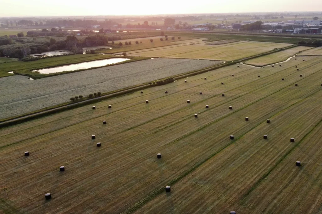 Meubeltransport Gorinchem met moderne verhuiswagens