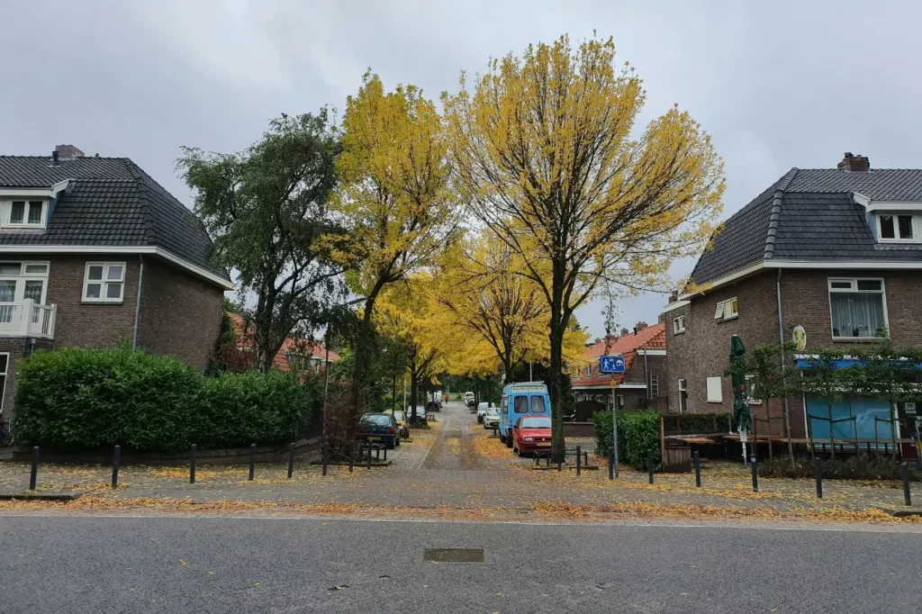 Professionele verhuizers aan het werk in Nijmegen.