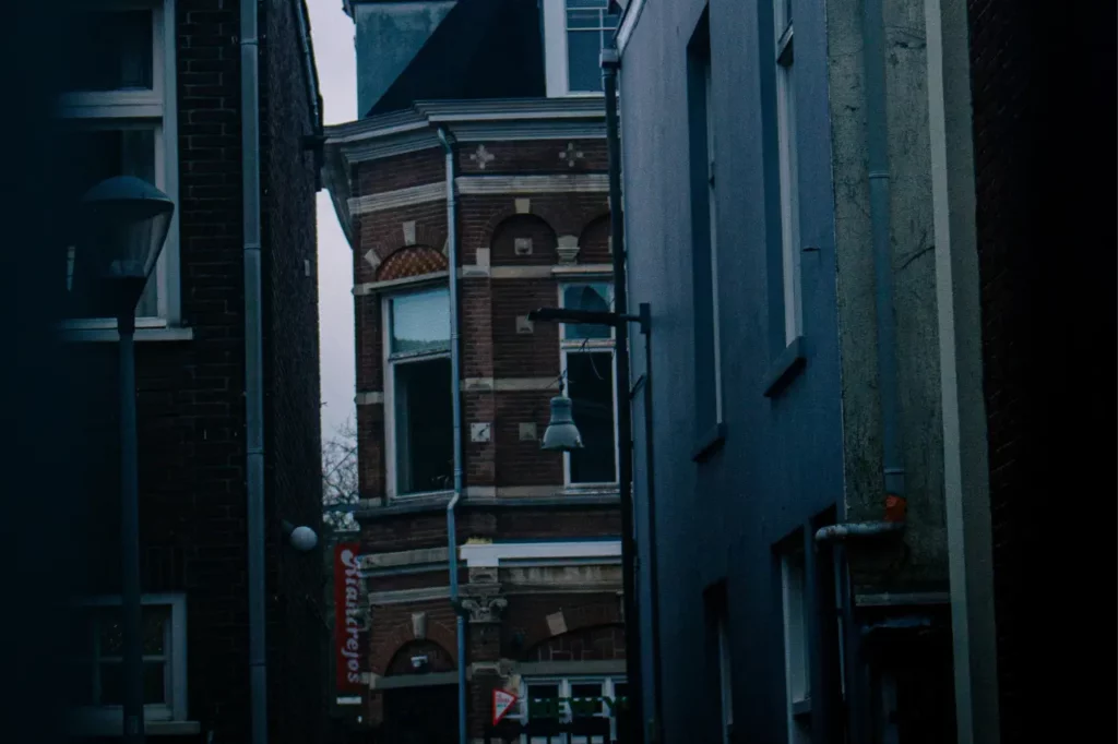 Dozen klaar voor transport in Breda.